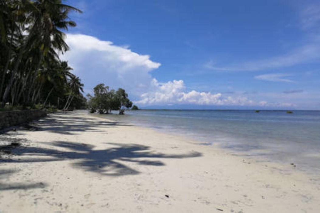 Bamboo Nest Beachfront Puerto Princesa Exterior foto